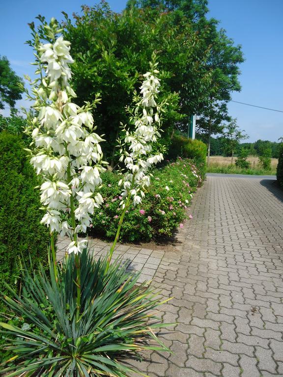 Das Fritz Hotel Schwerin Schoene Lage Im Gruenen Mit Regionaler Kueche Kostenfreien Parkplaetzen Und E Ladestation Dış mekan fotoğraf